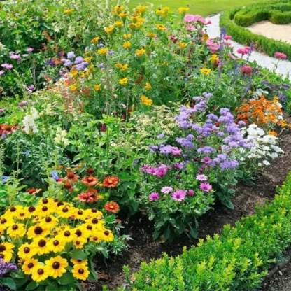Mixed Perennial Flowers for All Seasons �?30+ Kinds