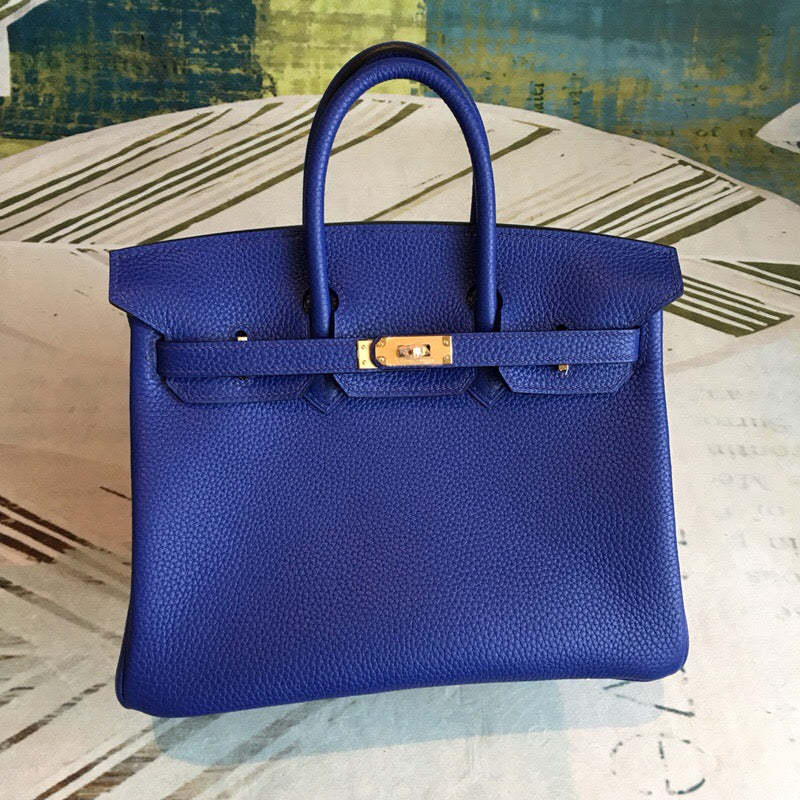 HM Birkin Dark Violet For Women Gold Toned Hardware 9.8in/25cm