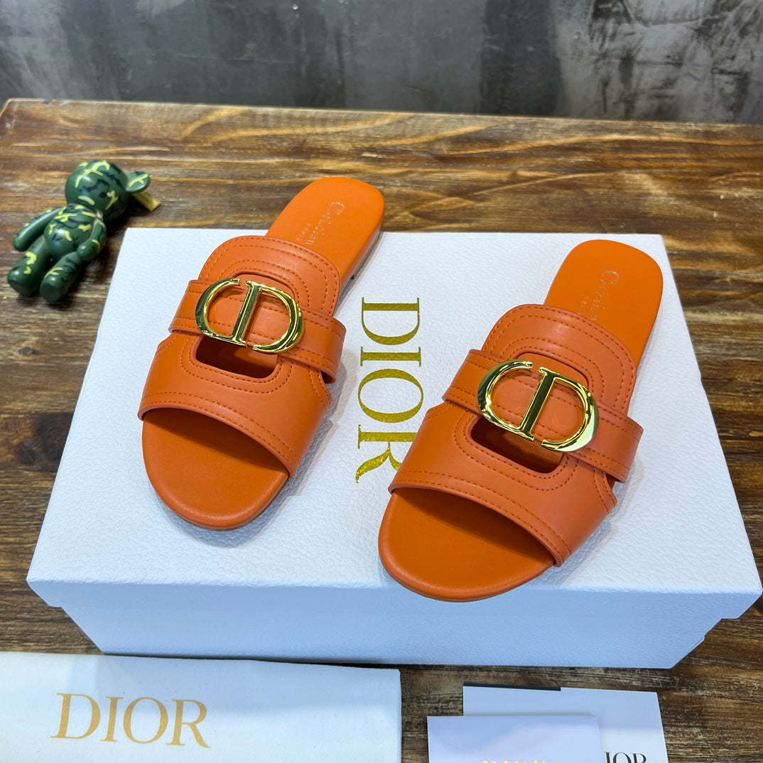 Luxury Shoes - DIR - 486