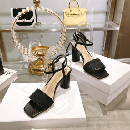 Luxury Shoes - DIR - 087