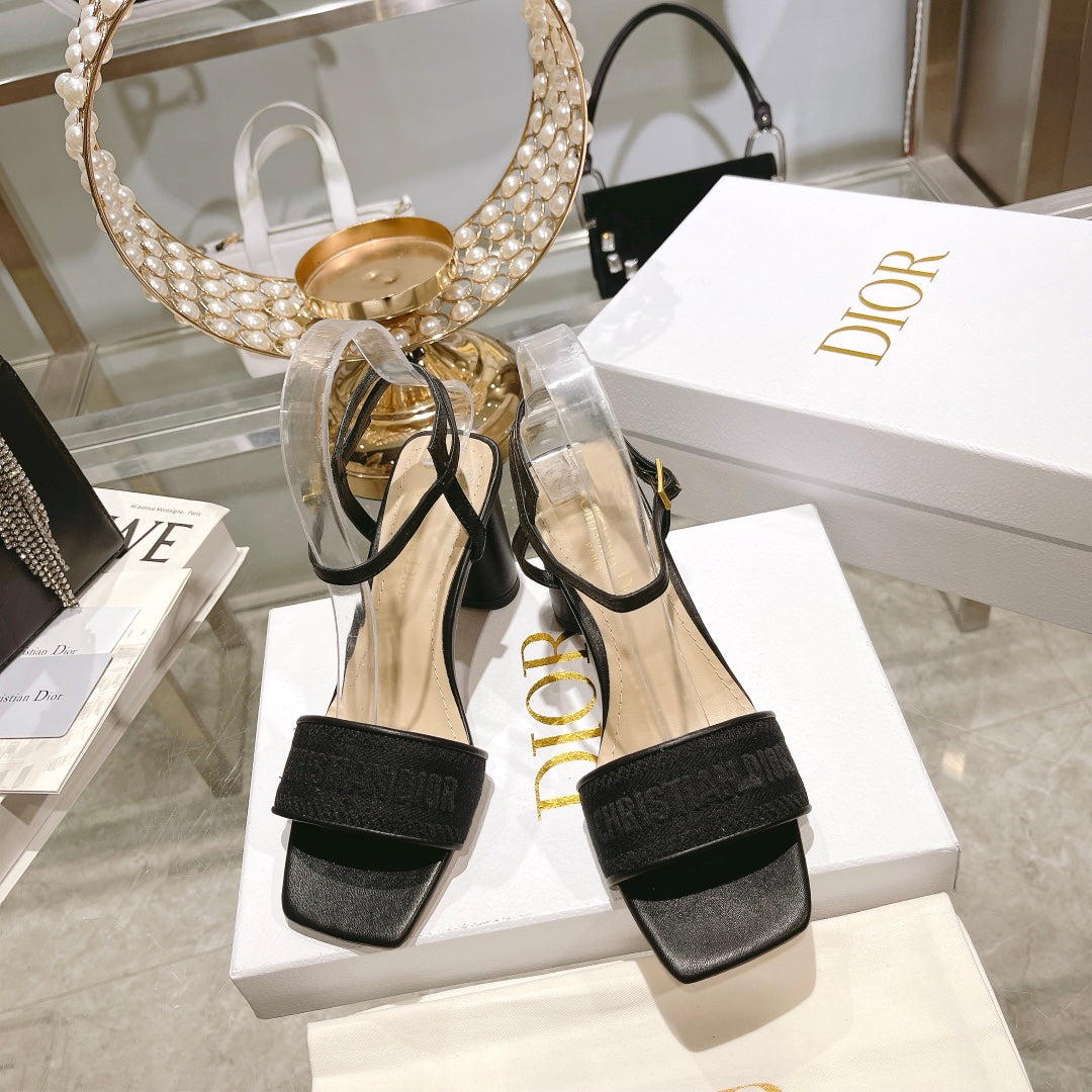 Luxury Shoes - DIR - 087