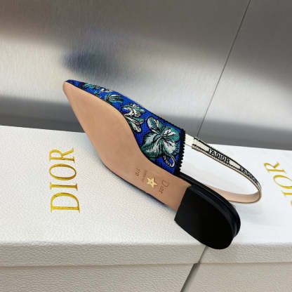 Luxury Shoes - DIR - 064