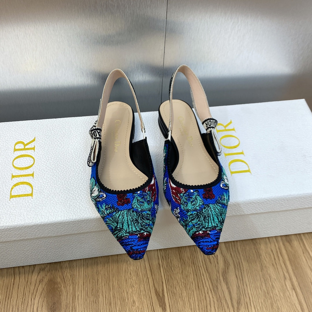 Luxury Shoes - DIR - 064