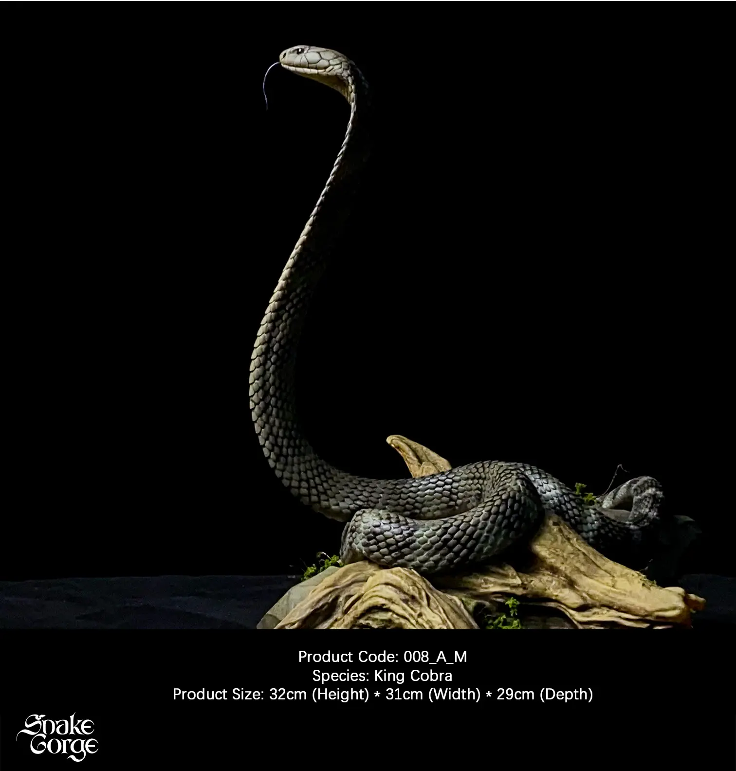 Snakegorge - King Cobra (Licensed)Statue  (GK) 