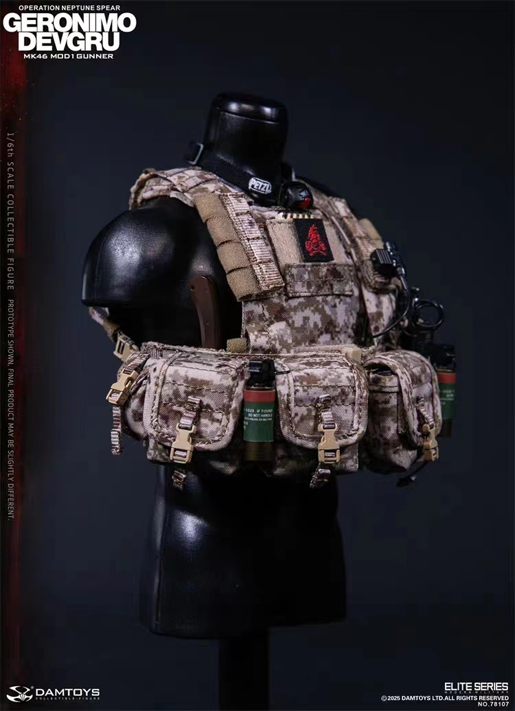 DAMTOYS - DAMTOYS UNITED STATES ARMY SPECIAL FORCES GROUP (Green Berets) NO.78112 Action Figure (Licensed)