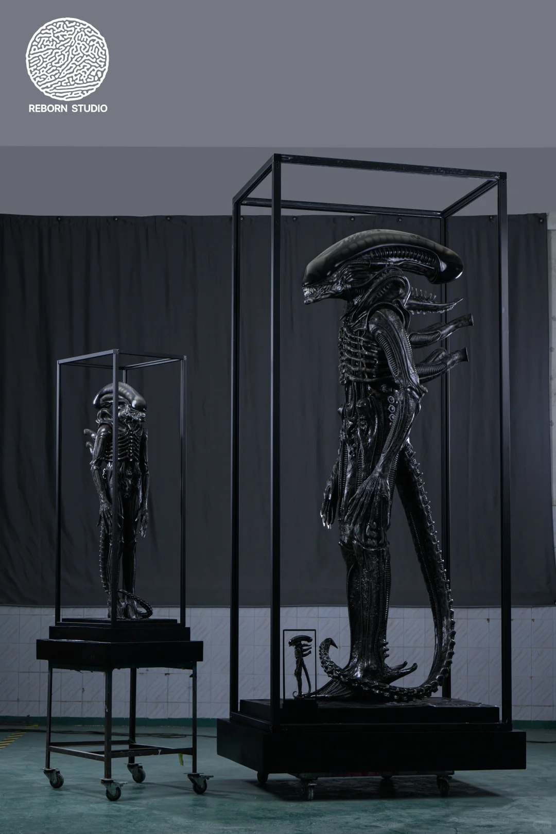 Reborn Studio Alien Big Chap Museum Art Alien IN stock