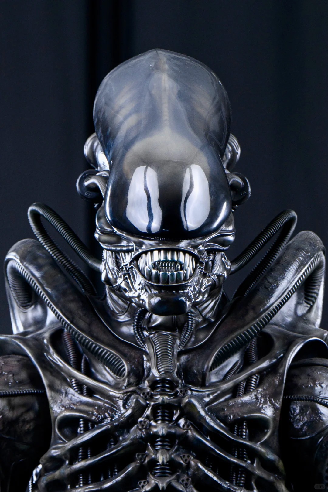 Reborn Studio Alien Big Chap Museum Art Alien IN stock