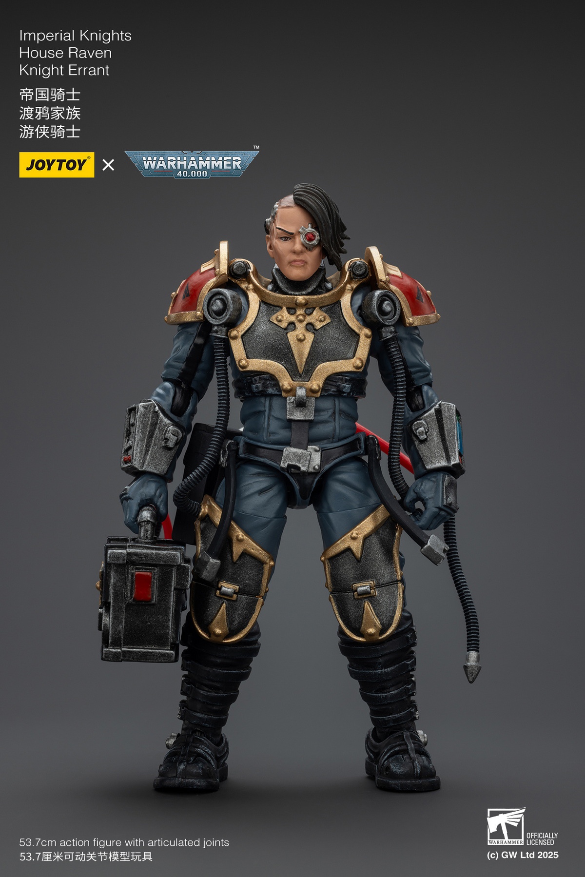 Ultramarines Relic Secundus Armour & Imperial Knights House Raven Knight Errant JT01536 JT9305 (Licensed) Statue(GK) - JOYTOY-KWII-GK