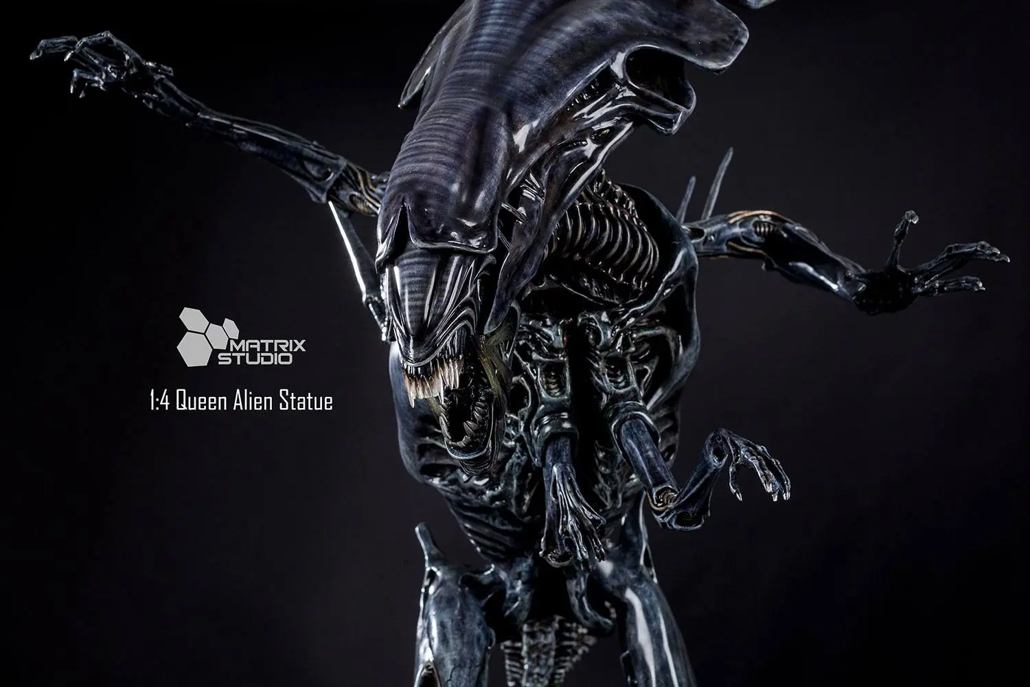  Matrix Studio - Queen Alien 1/4 scale Statue(GK) (Licensed)