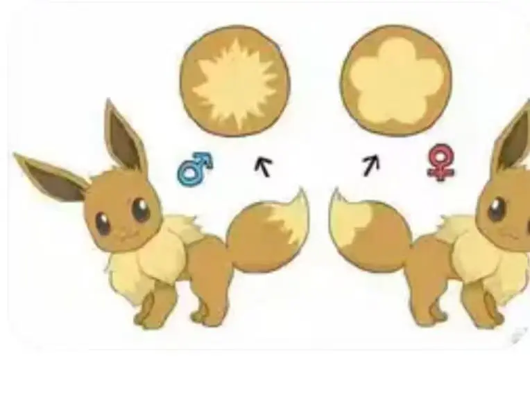 MoonShadow Studio - Pokemon Nature Series Eevee #5 Eevee and Pikachu Scene Statue(GK)