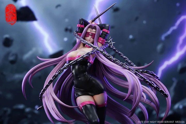 TY Studio-fate/stay night - Rider 1/6 Statue(GK)