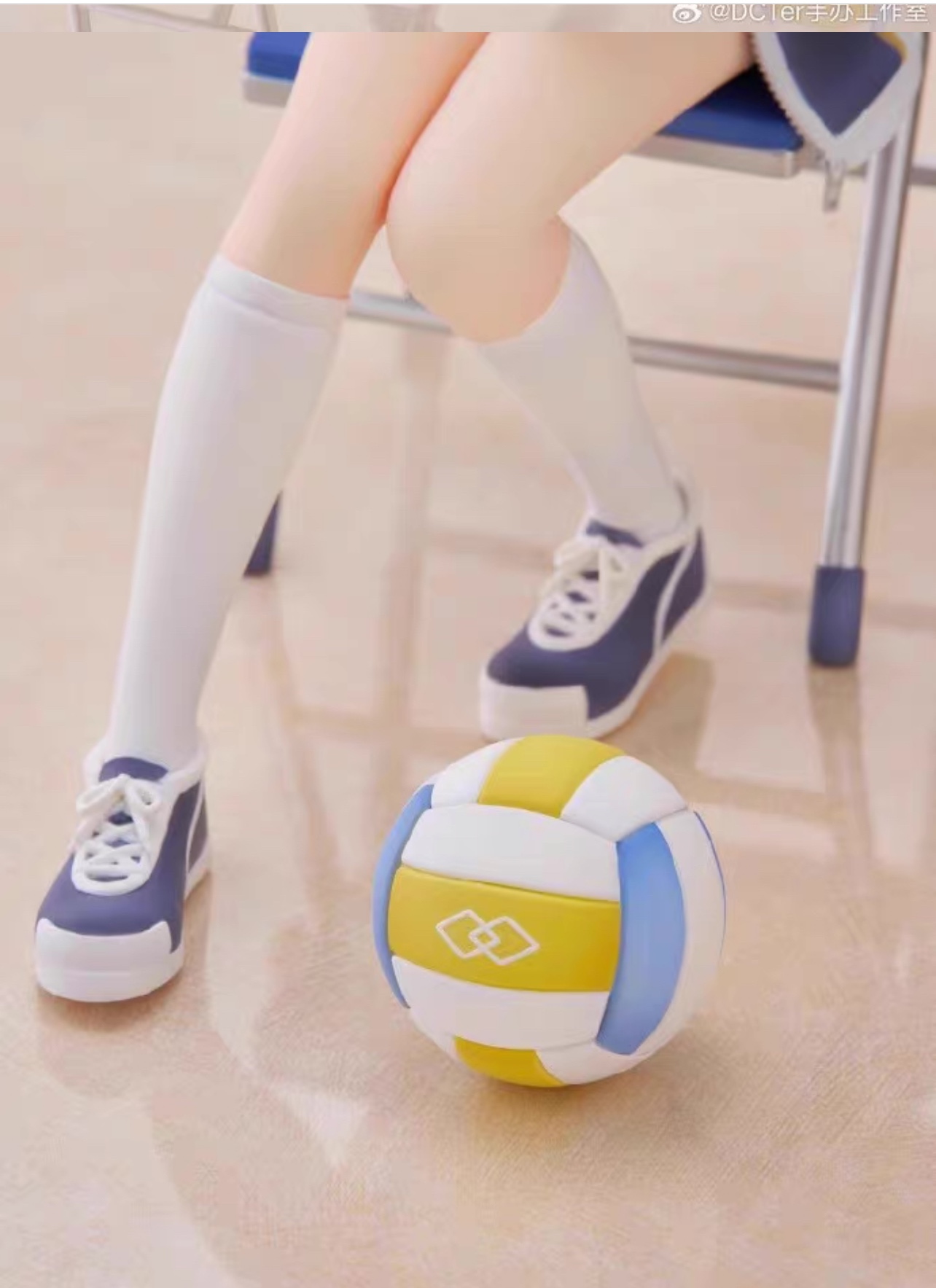 Pre sale of DCTer PLUM 1/7 Iro Mary Gymnastics Dress Memorial Hall Handmade