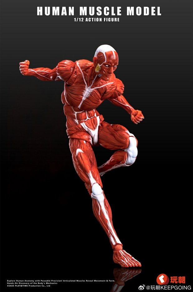 Human Muscle Model 1/12 Highly Articulated Figure (Licensed)-KEEPGOING