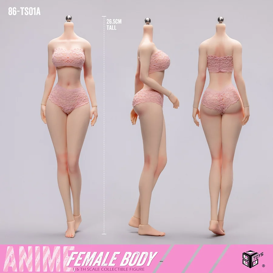 86TOYS-Female Body  collection Figure-86-TS01A/B Statue