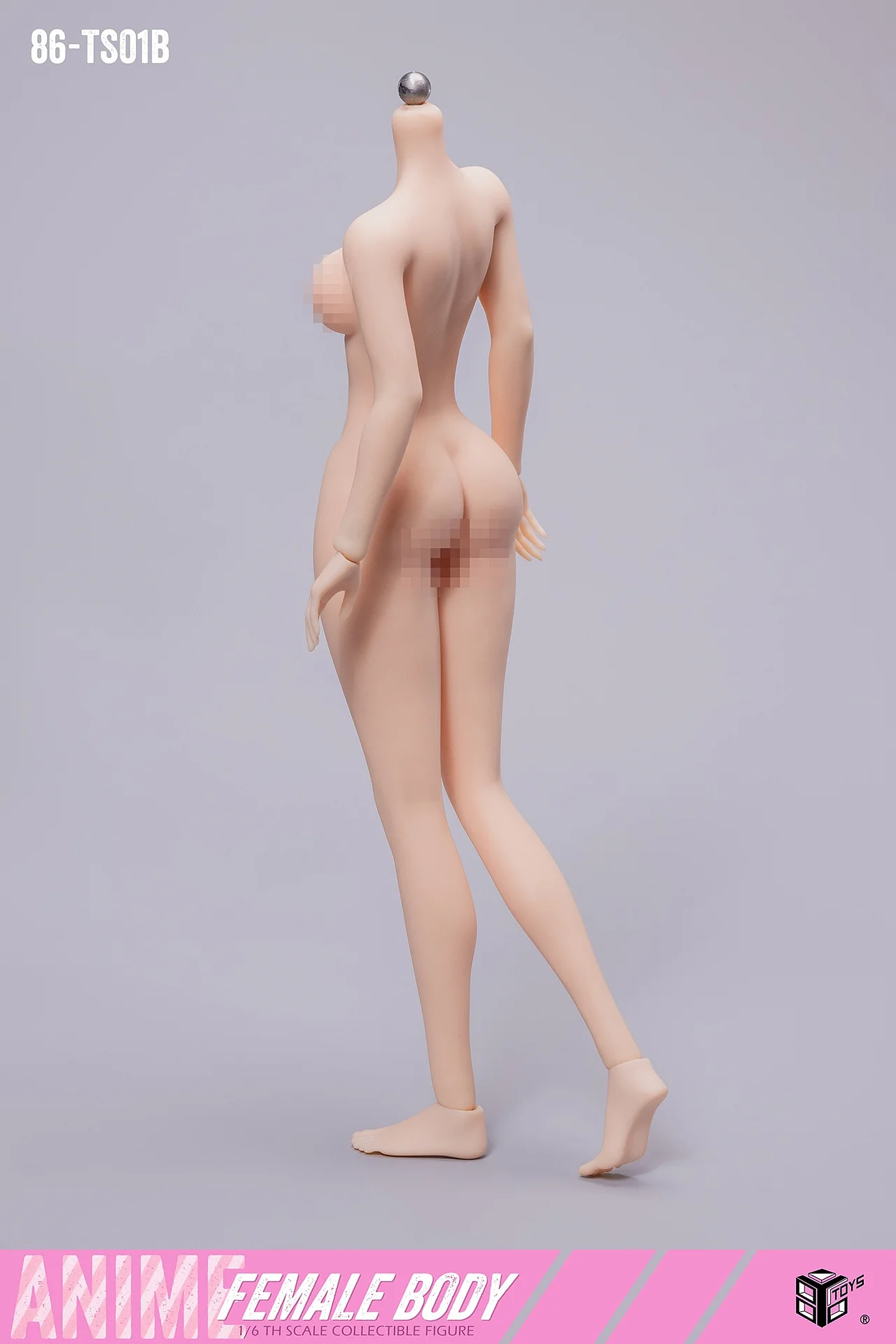 86TOYS-Female Body  collection Figure-86-TS01A/B Statue