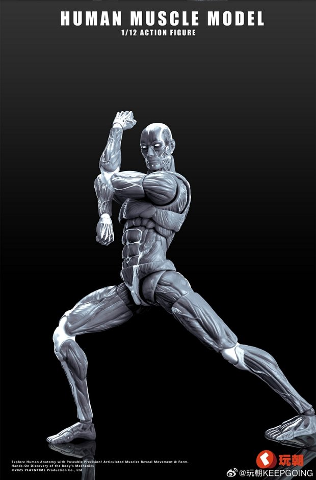 Human Muscle Model 1/12 Highly Articulated Figure (Licensed)-KEEPGOING