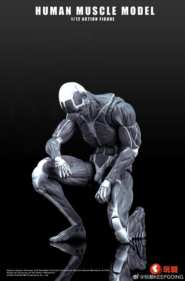 Human Muscle Model 1/12 Highly Articulated Figure (Licensed)-KEEPGOING