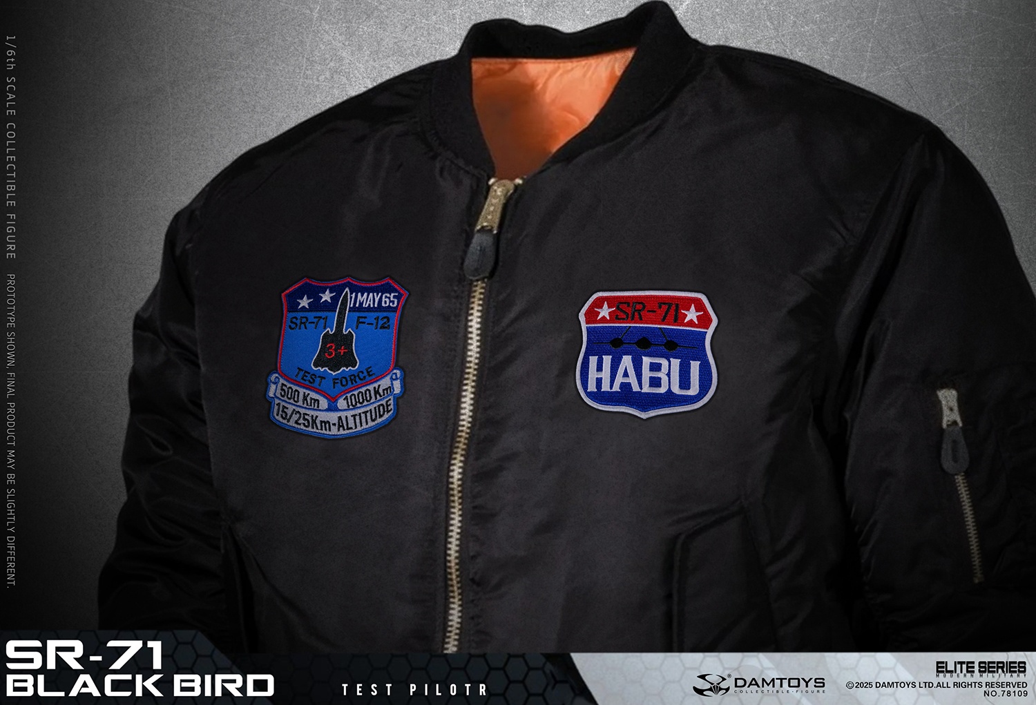 SR-71 Blackbird Test Pilot NO78109 (Licensed) 1/6 Scale Statue(GK) -DAMTOYS