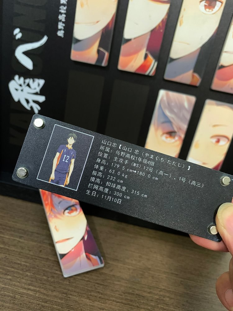 Mystical Art Studio - Haikyuu!! - Decorative Painting of Karasuno Scene (Adult 18+)-KWII-GK