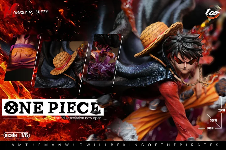 One Piece - Monkey D Luffy 1/6 Statue(GK) -Too Studio