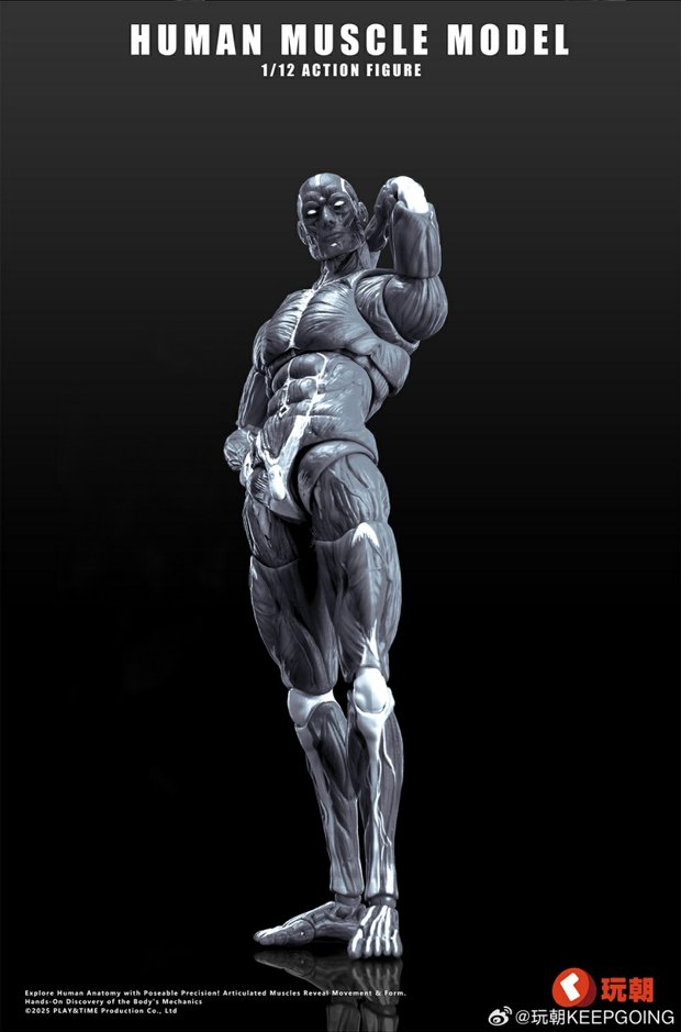 Human Muscle Model 1/12 Highly Articulated Figure (Licensed)-KEEPGOING