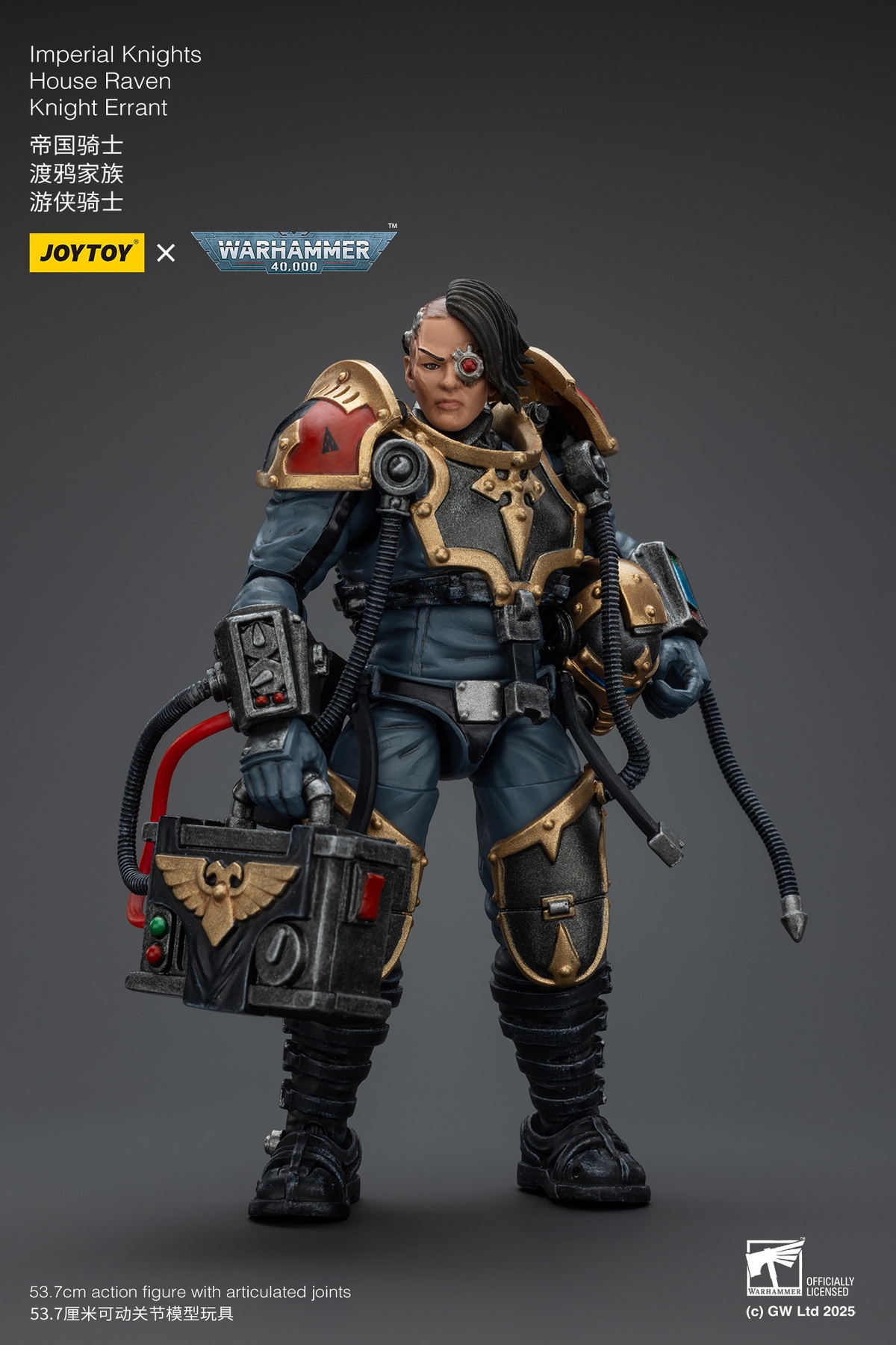 Ultramarines Relic Secundus Armour & Imperial Knights House Raven Knight Errant JT01536 JT9305 (Licensed) Statue(GK) - JOYTOY-KWII-GK