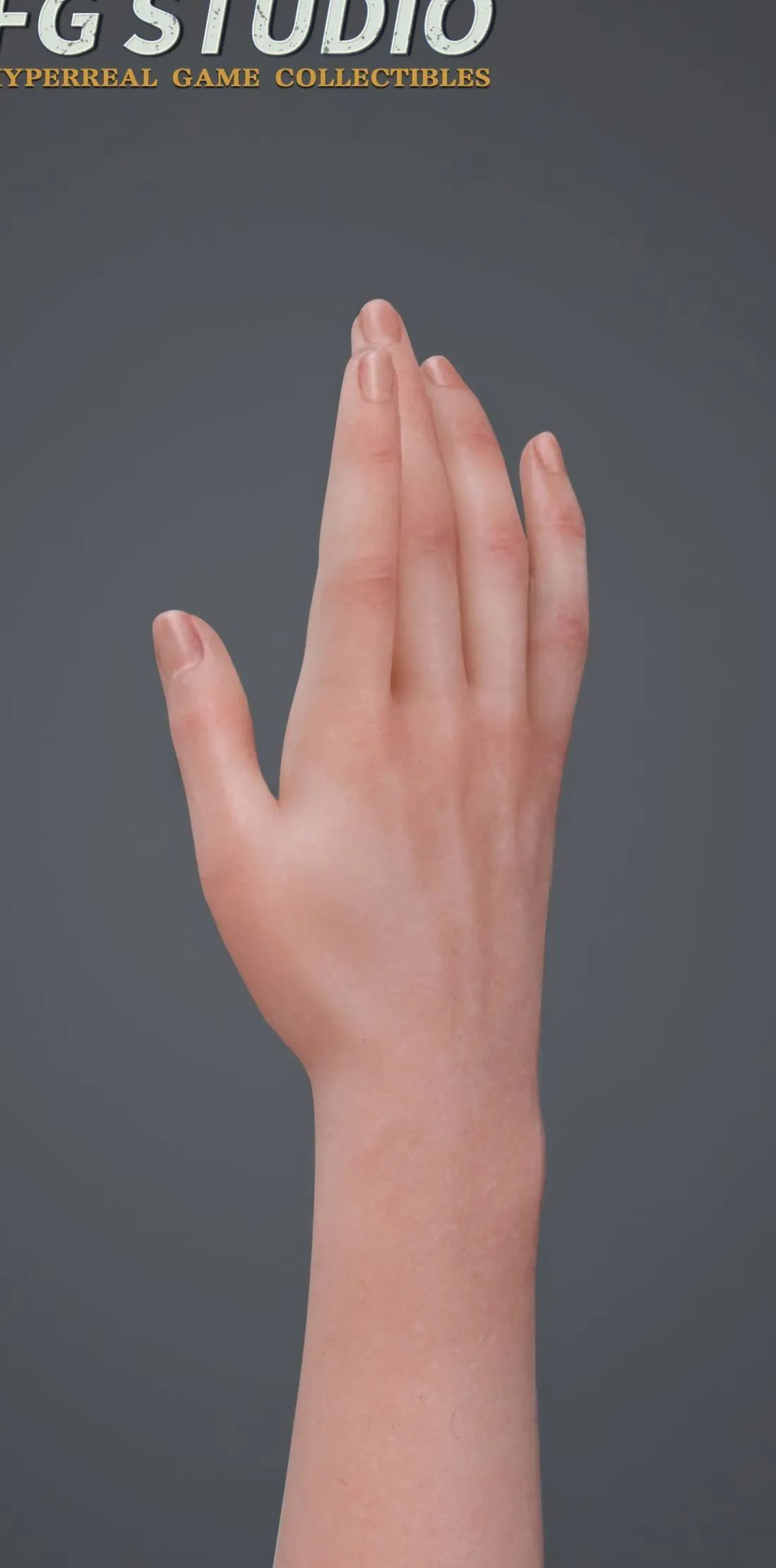 FG Studio - Resident Evil FG004 Fighting Girl Ada Wong Action Figure(Adult 18+)