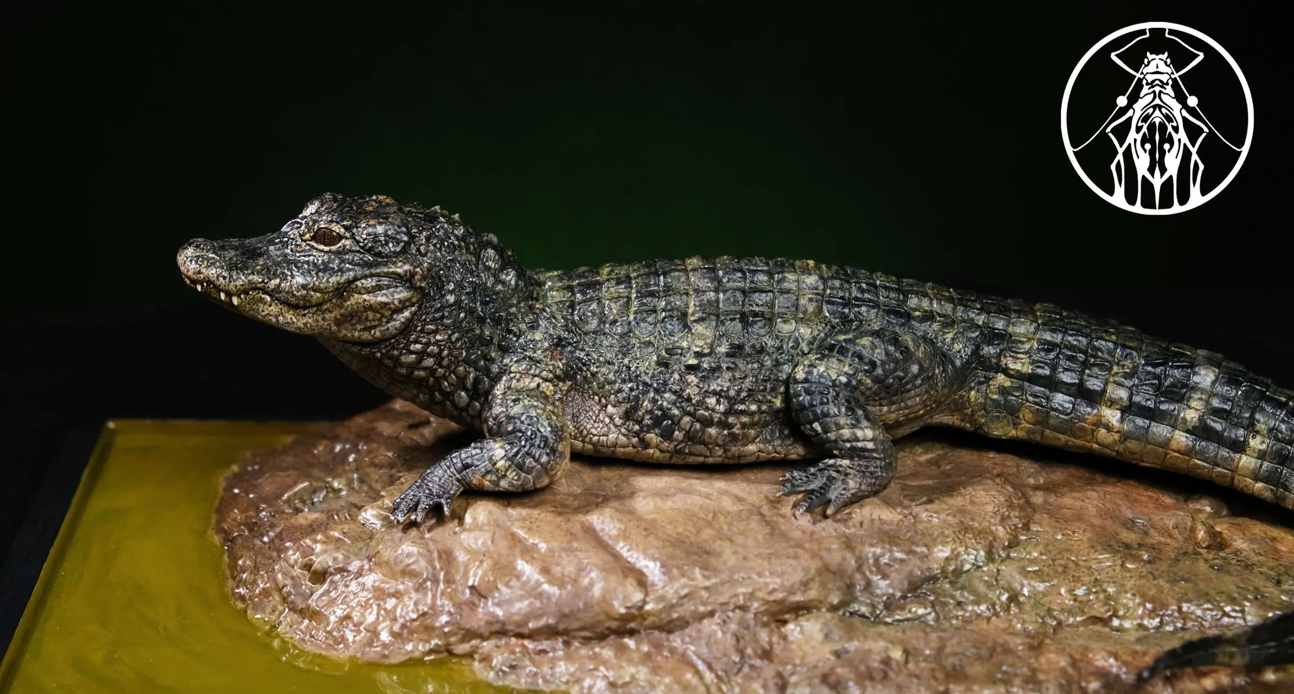 Aphid Studio - Earth's Pulse: Chinese Alligator Finished Model (Licensed)Statue