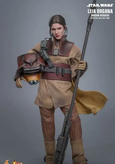 Hottoys - Star Wars: Return of the Jedi Leia Organa (Boushh Disguise) 1/6th scale Collectible Figure MMS854 (Licensed)