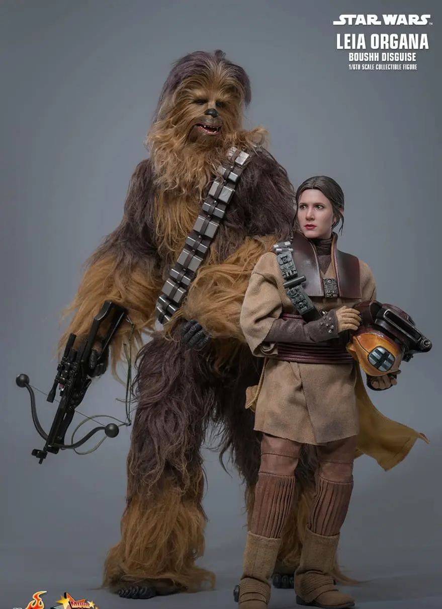 Hottoys - Star Wars: Return of the Jedi Leia Organa (Boushh Disguise) 1/6th scale Collectible Figure MMS854 (Licensed)