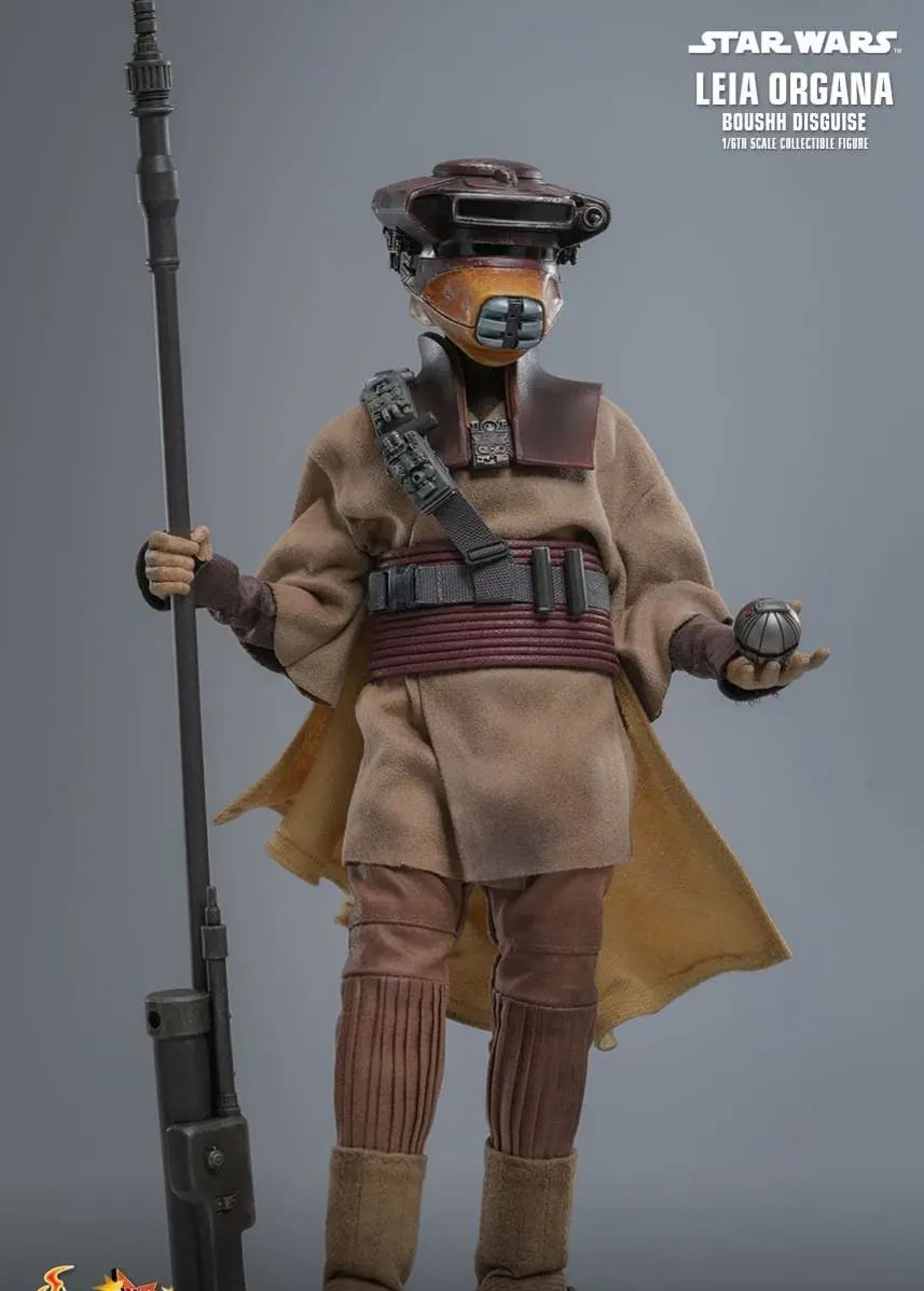 Hottoys - Star Wars: Return of the Jedi Leia Organa (Boushh Disguise) 1/6th scale Collectible Figure MMS854 (Licensed)