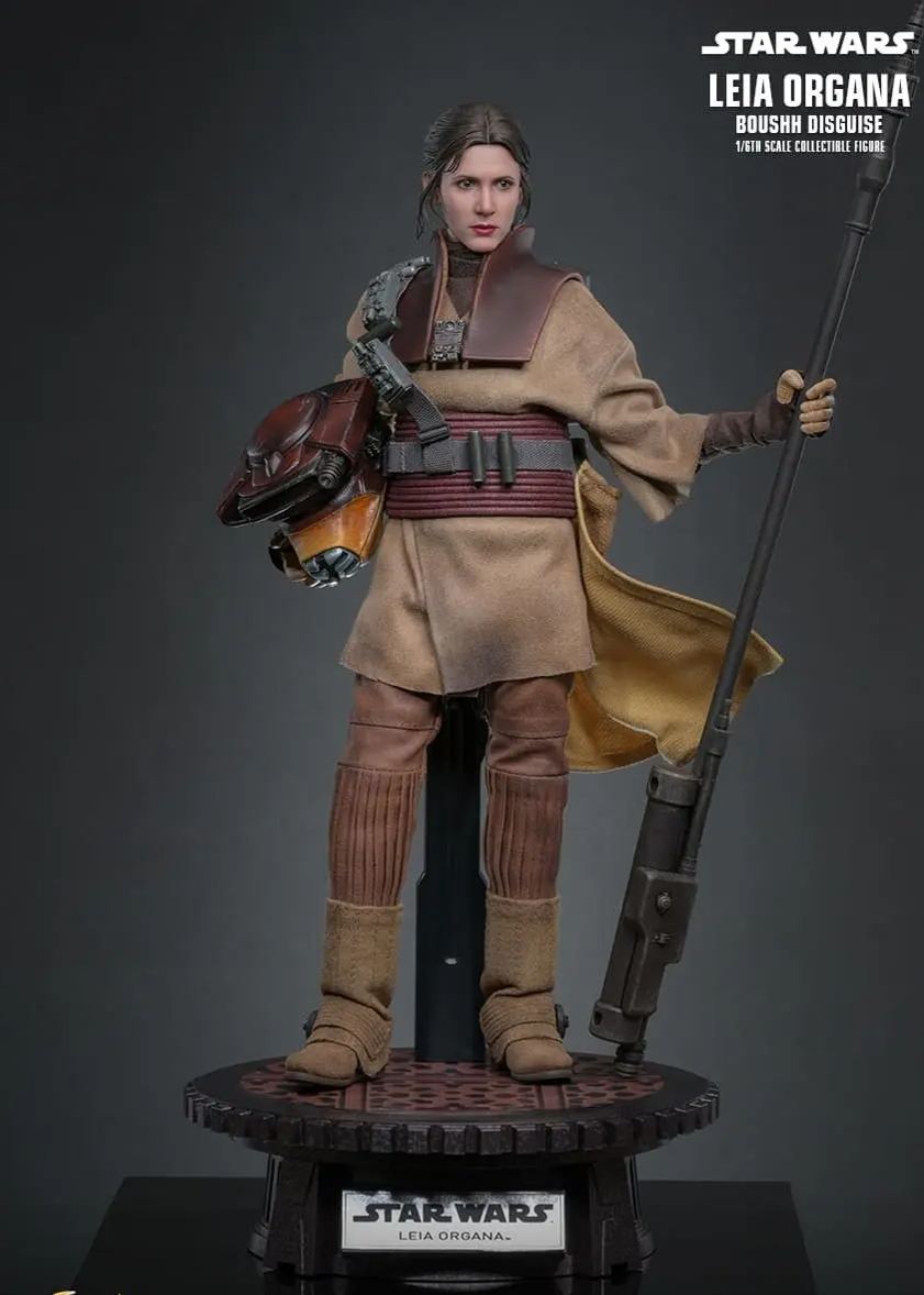 Hottoys - Star Wars: Return of the Jedi Leia Organa (Boushh Disguise) 1/6th scale Collectible Figure MMS854 (Licensed)