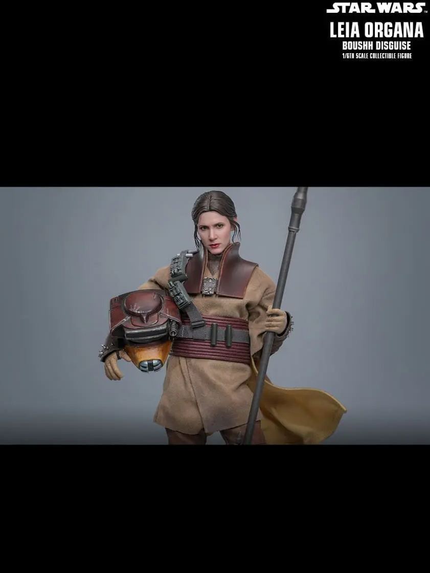 Hottoys - Star Wars: Return of the Jedi Leia Organa (Boushh Disguise) 1/6th scale Collectible Figure MMS854 (Licensed)