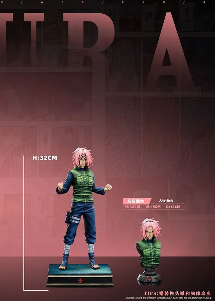 Dream Fly Studio - Team 7 #3  X #4 Sakura X #5 Sasuke  Statue