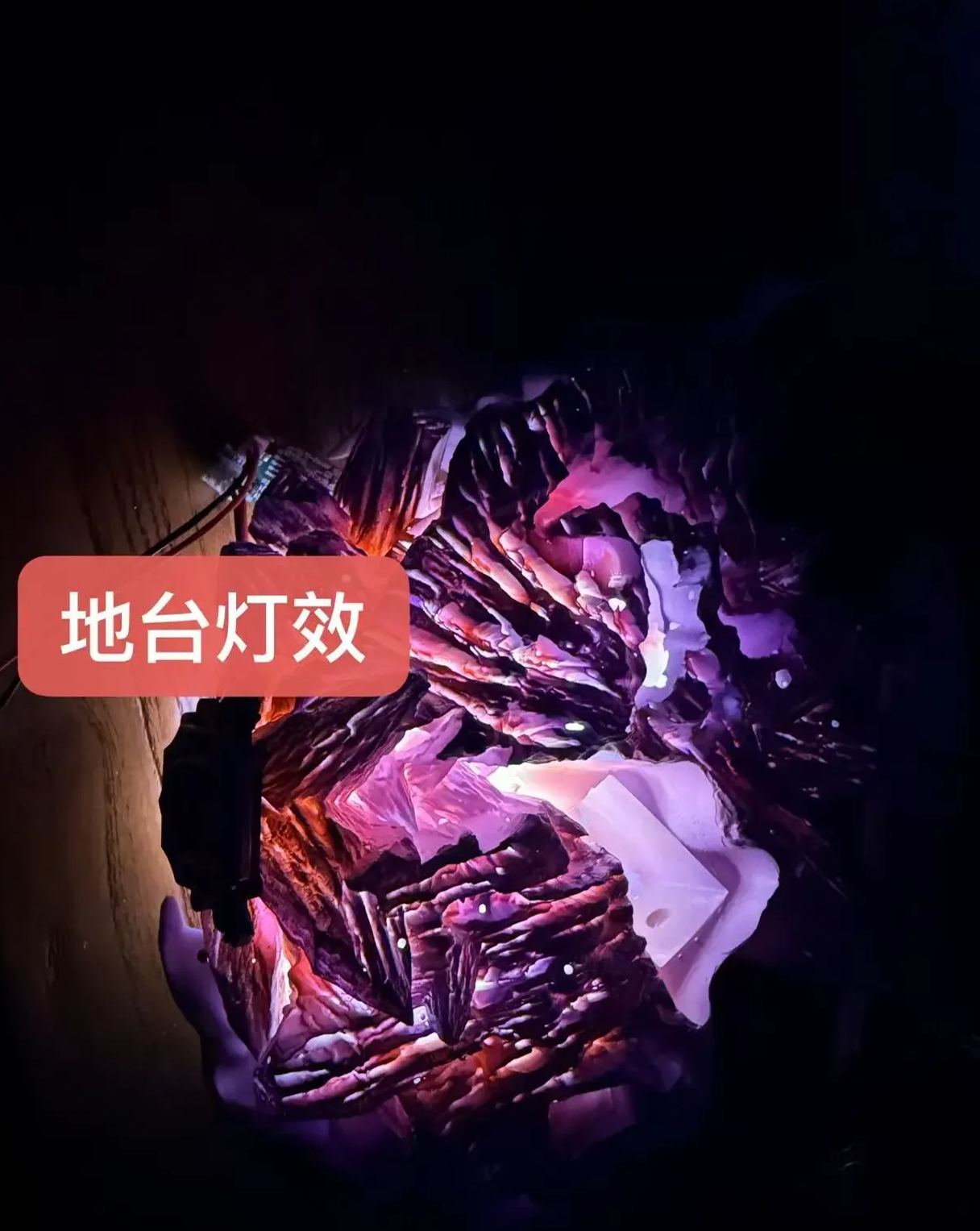 Zhong Jia Xi Niu Studio - Kyoya Hibari Katekyo Hitman Reborn Statue