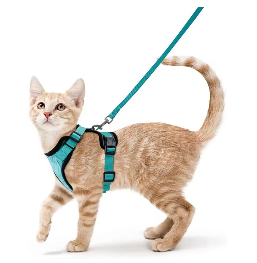 Pet Supplies