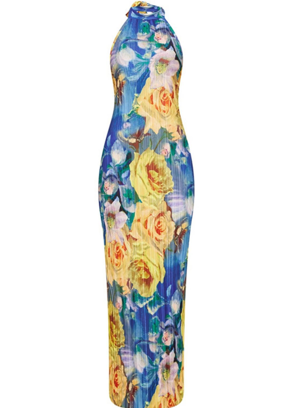 Maemi Halterneck Printed Maxi Dress-Mix MIx Style