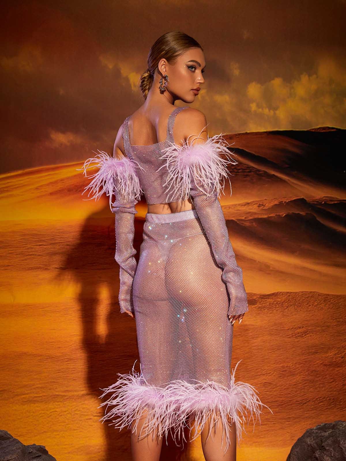 Purple See-Through Mesh Diamond Feather Trimmed Skirt & Top Set | Mix Mix Style [Hot Seller]-Mix MIx Style