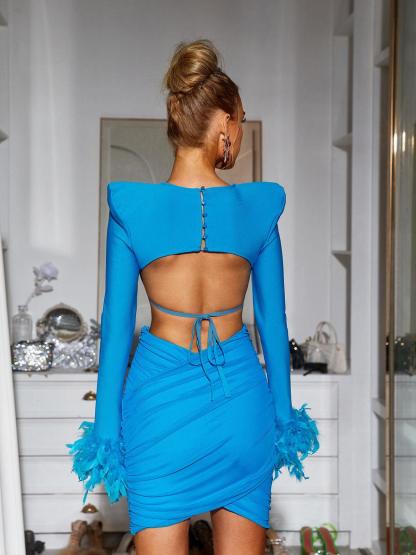 Fauna Long Sleeve Feather Mesh Bandage Set In Blue-Mix MIx Style