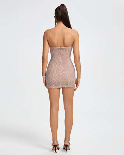 metallic silver rose Strapless Mesh embellished Diamonate Corset cocktail party Mini Dress | Mix Mix Style
