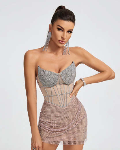 metallic silver rose Strapless Mesh embellished Diamonate Corset cocktail party Mini Dress | Mix Mix Style