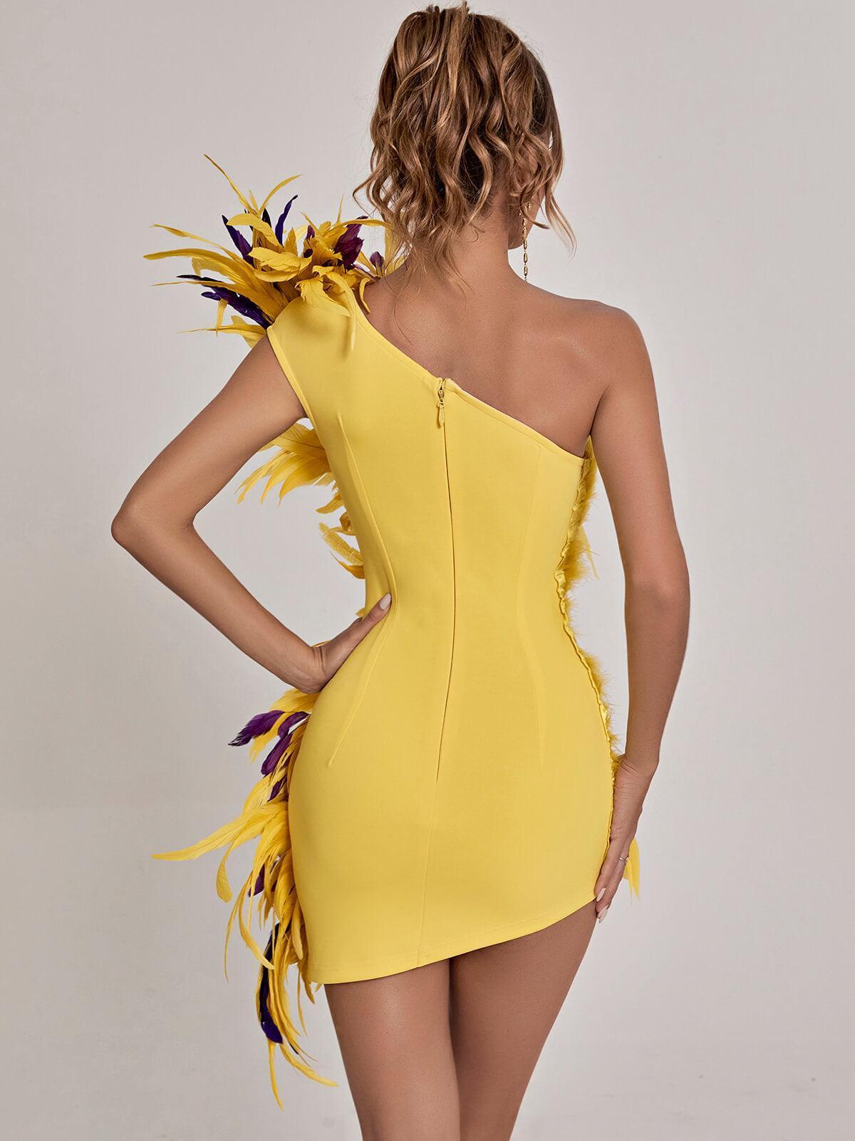Paislee Asymmetric Feather Mini Dress-Mix MIx Style