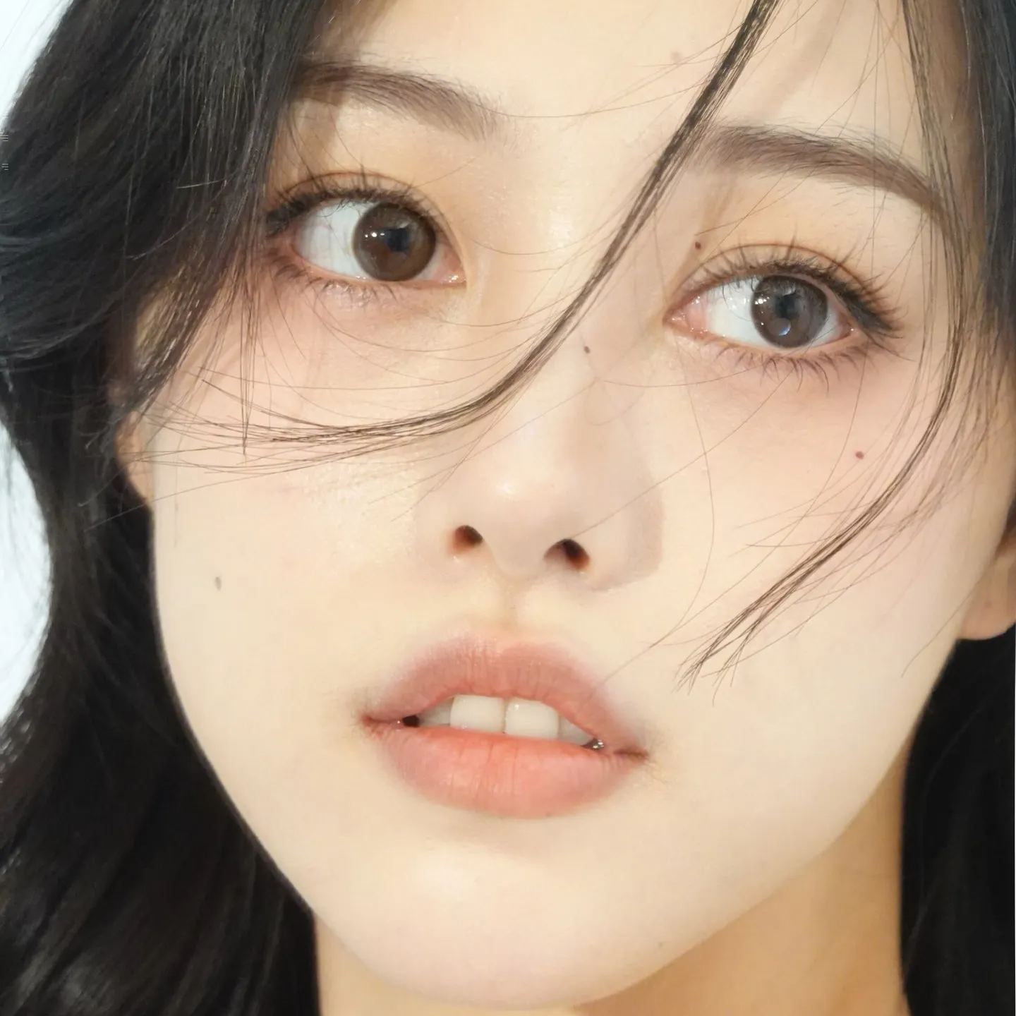 BearCon | 韩产年抛 | 硅水凝胶 | 低调日常 | 素颜棕黑色系 | 14.0mm-allencon