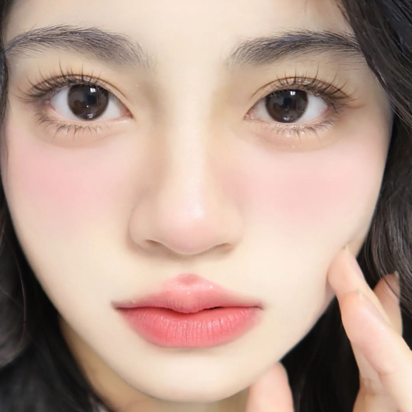 BearCon | 韩产年抛 | 硅水凝胶 | 低调日常 | 素颜棕黑色系 | 14.0mm-allencon