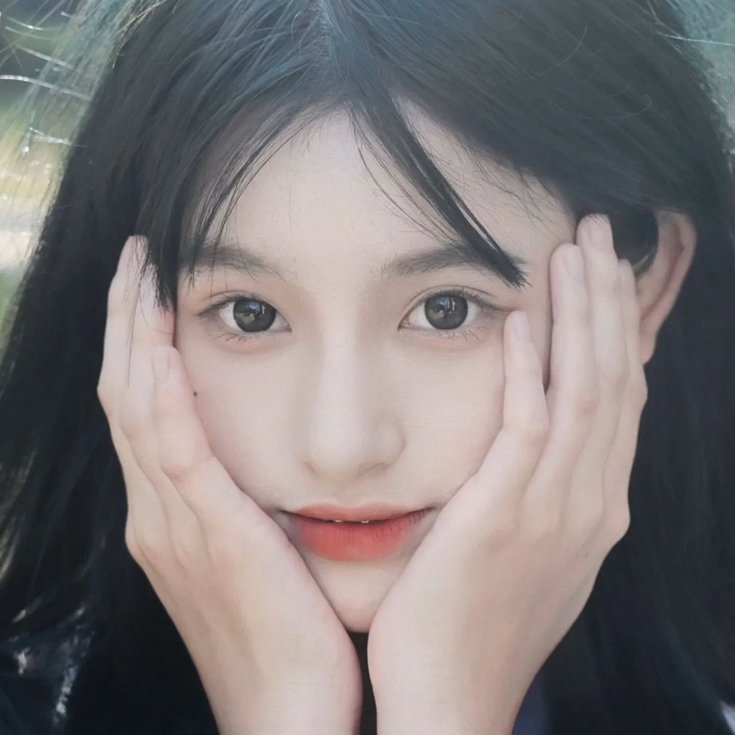 BarieCat | 韩产日抛 | 非离子 | 狗狗眼系列 | 14.2mm-14.5mm | 10片装-allencon