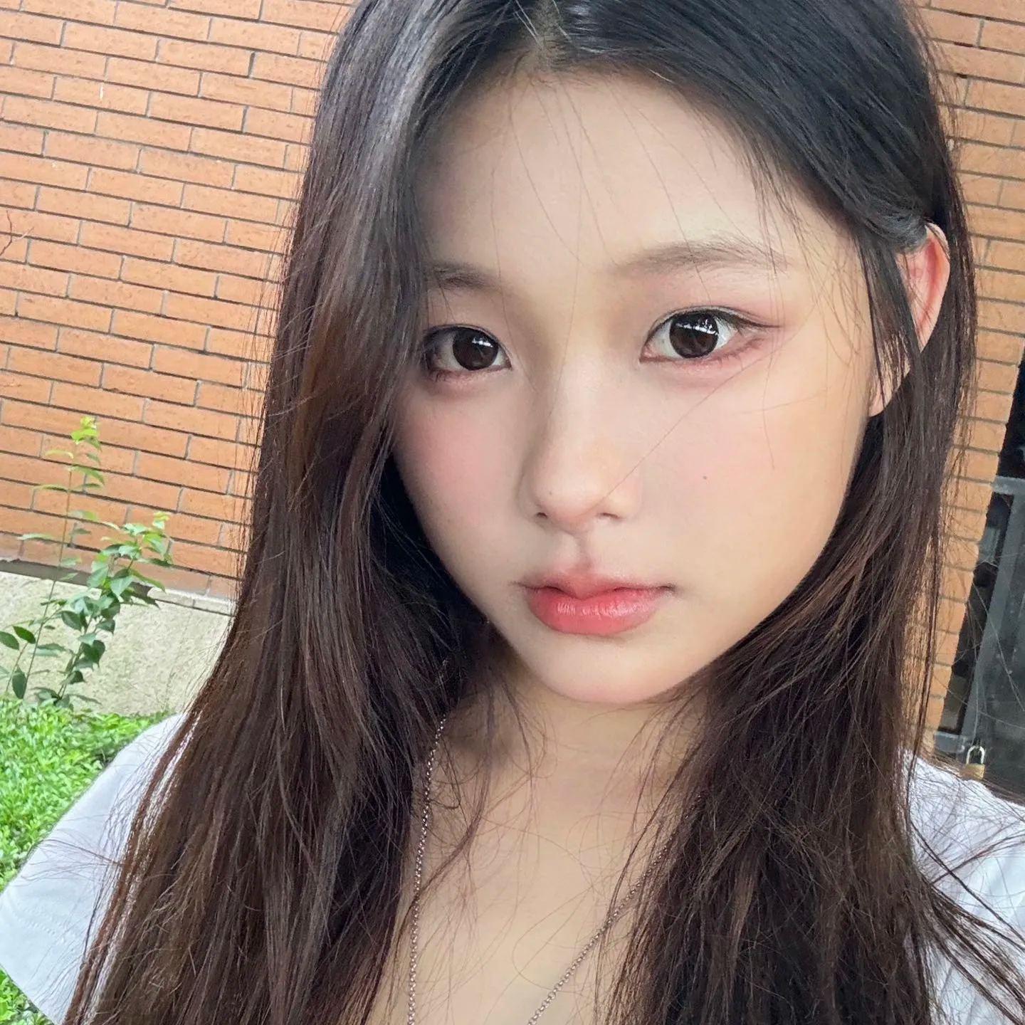 Fairycon | 韩产日抛 | TRISS材质 | 温柔白月光 |  焦糖泡芙 | 14.5mm | 10片装-allencon