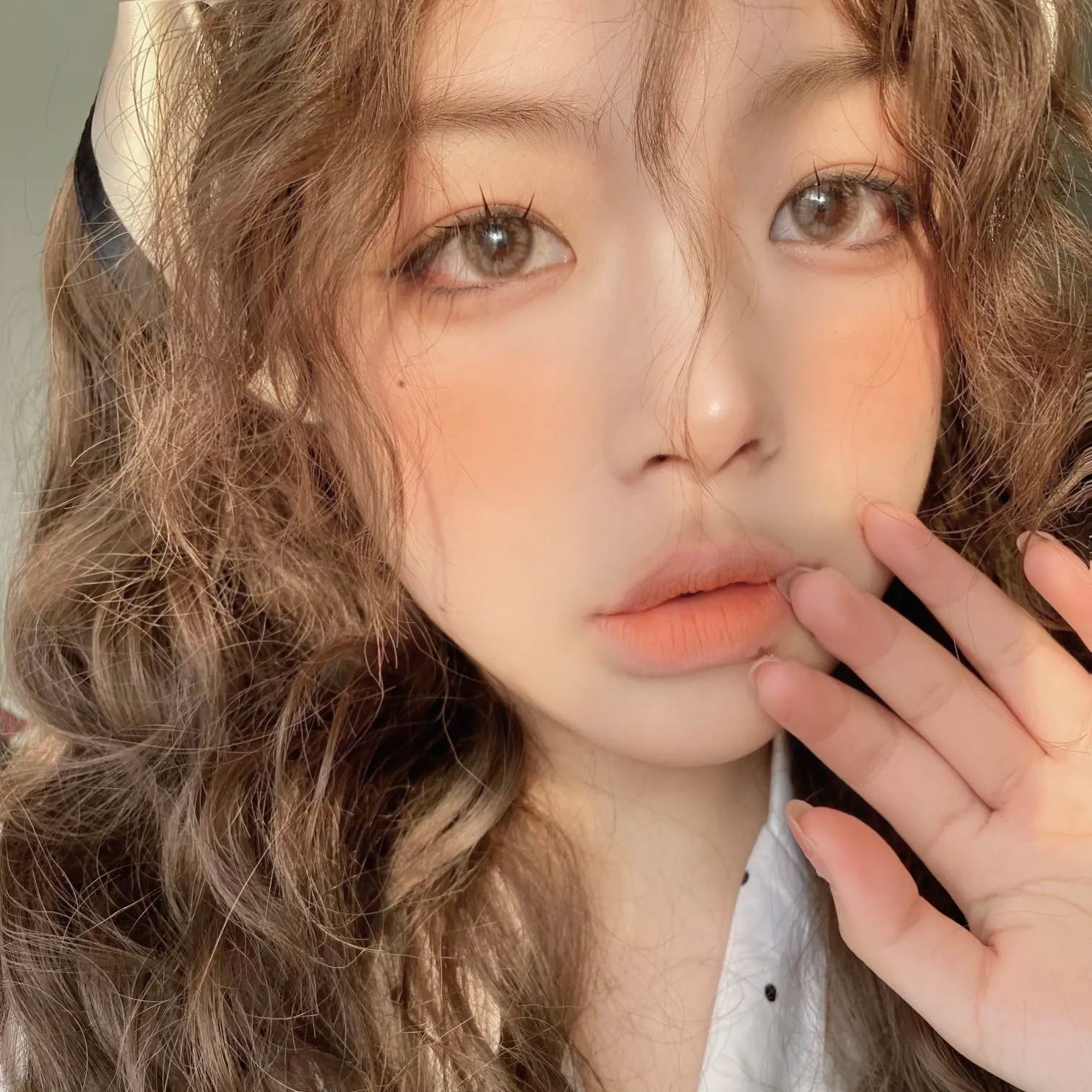 FavorrBeauty | 韩产年抛 | 硅水凝胶 | 旺仔系列 | 旺仔粉棕 | 旺仔褐 | 旺仔灰 | 旺仔蓝 | 14.0mm-allencon