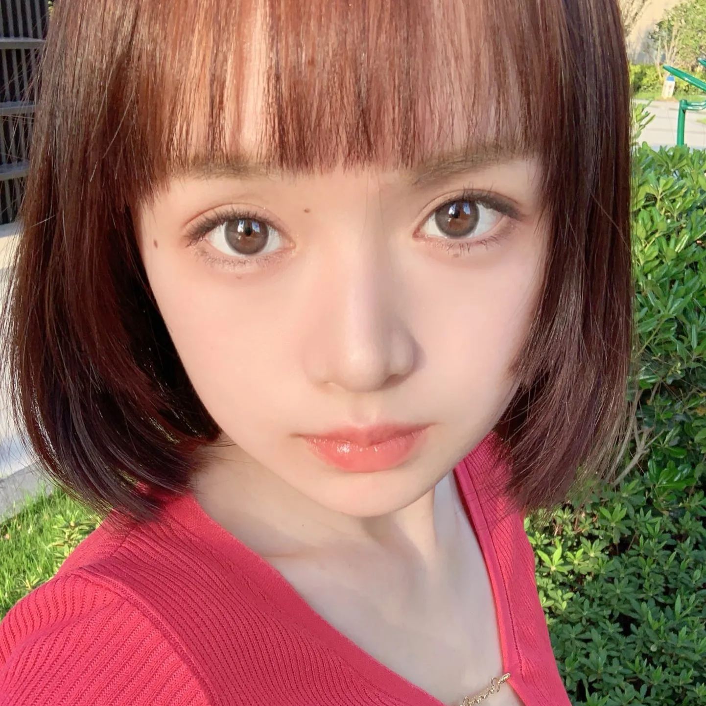 FavorrBeauty | 韩产年抛 | 硅水凝胶 | 旺仔系列 | 旺仔粉棕 | 旺仔褐 | 旺仔灰 | 旺仔蓝 | 14.0mm-allencon