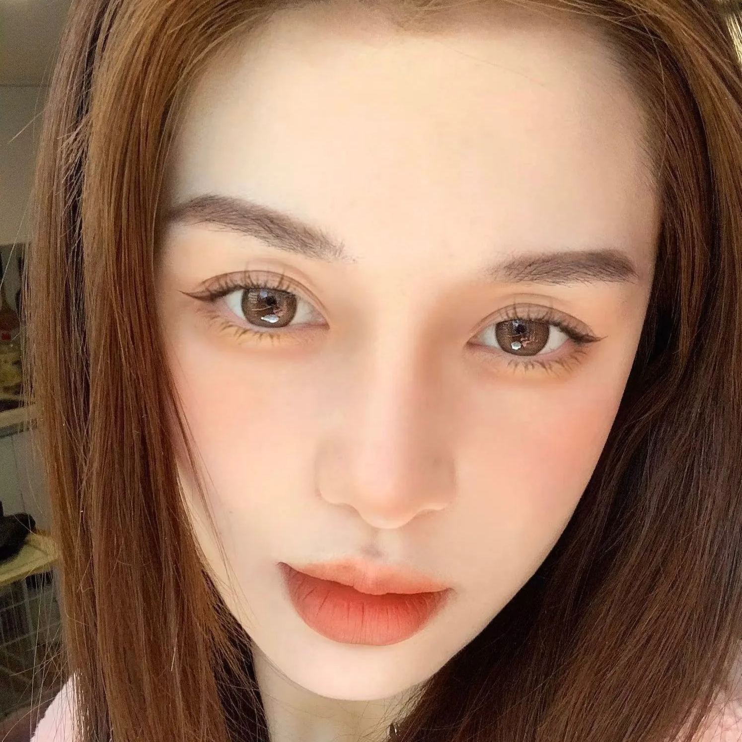 Ginomii | 韩产半年抛 | 硅水凝胶 | 售完不补 | 水晶利姆 | 咖喱果子 | 水润橄榄 | AOV系列 | 绵阳酵母 | 混血爆米花  | 14.5mm-allencon