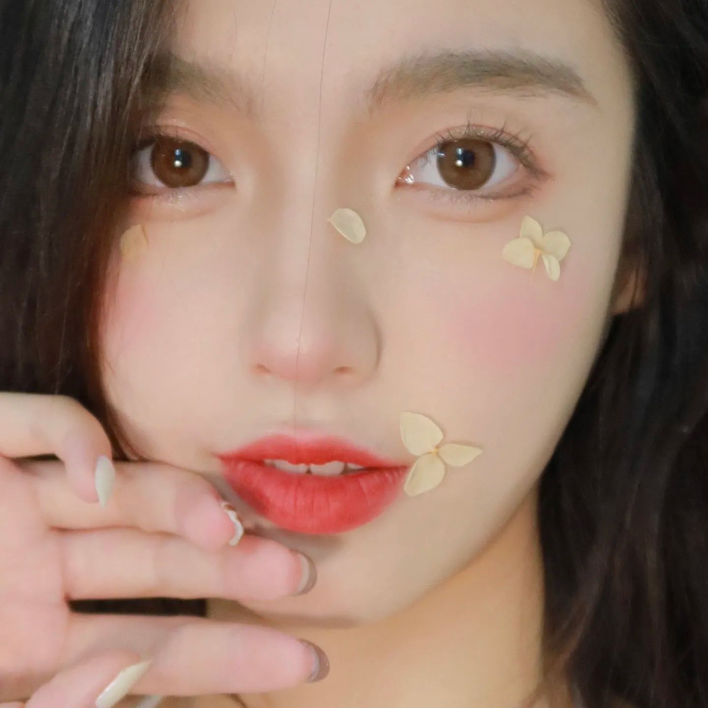 KiraFairy | 韩产半年抛 | 水凝胶 | 胶原水光 | 胶原酒褐 | 日心圣光 | 早安情话 | 微光小鹿 | 雾面冷棕 | 14.2mm-allencon